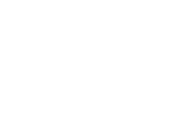 driver icon